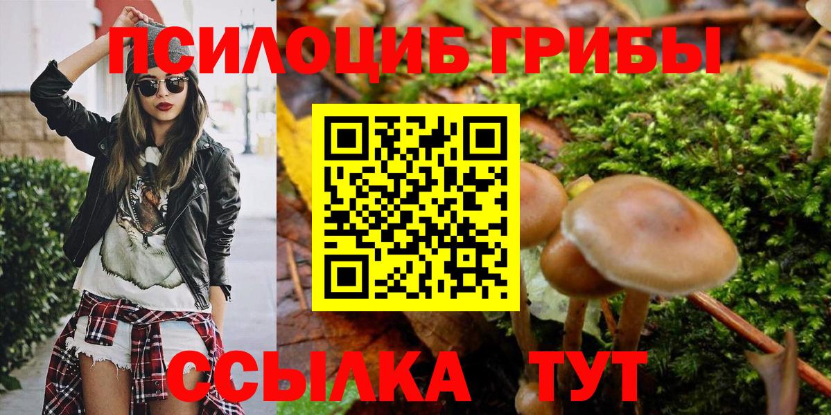 Псилоцибиновые грибы прущие грибы Богородск