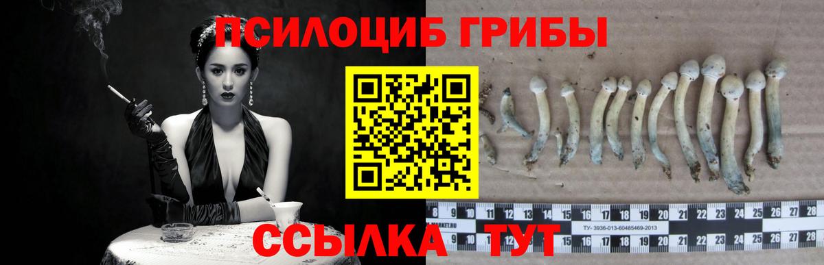 закладка  Псилоцибиновые грибы мицелий  Вход с VPN  Галлюциногенные грибы прущие грибы  Богородск 